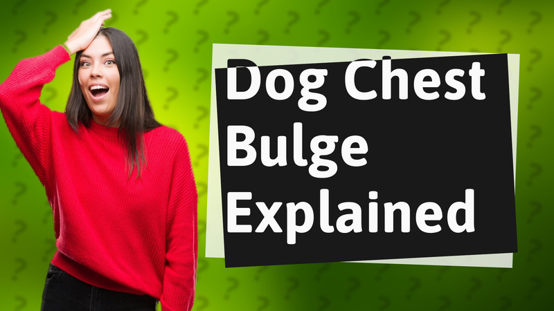 Dog Chest Bulge Explained