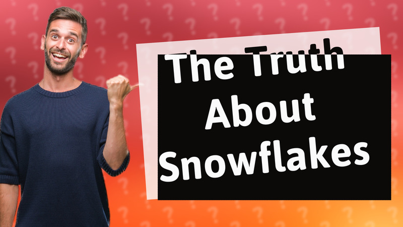 The Truth About Snowflakes