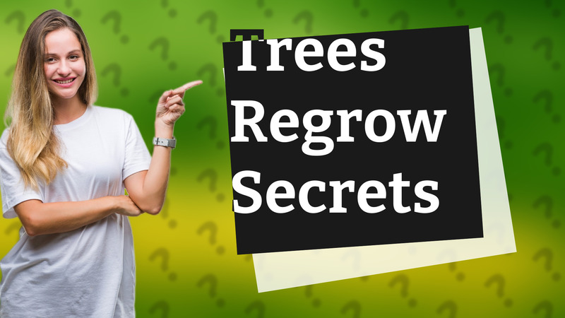 Trees Regrow Secrets