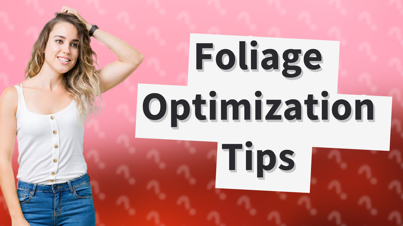 Foliage Optimization Tips
