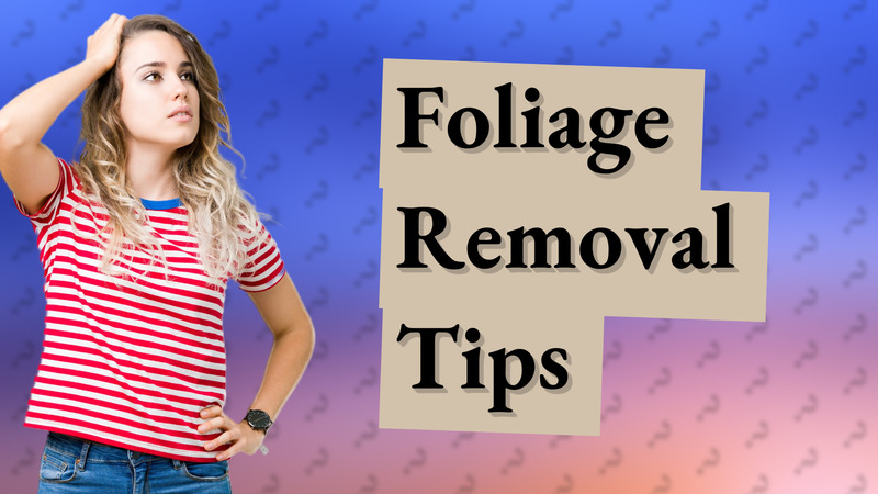 Foliage Removal Tips