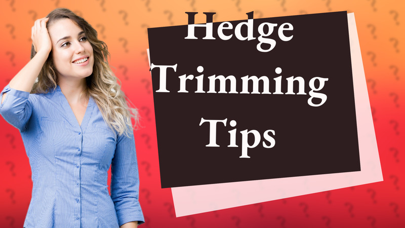 Hedge Trimming Tips
