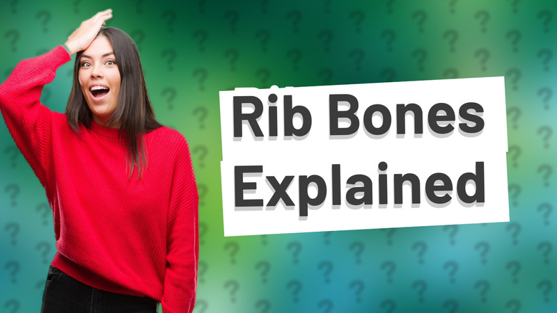 Rib Bones Explained