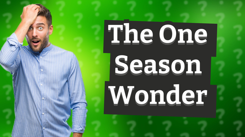 The One Season Wonder