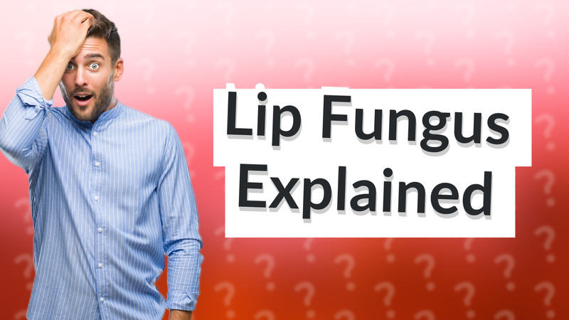 Lip Fungus Explained