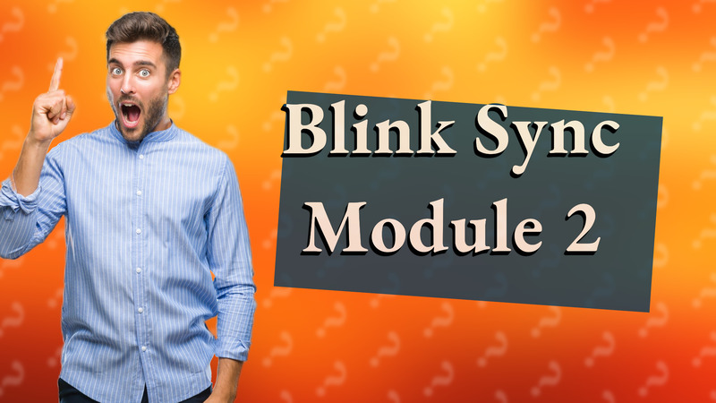 Blink Sync Module 2