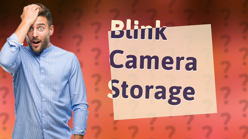 Blink Camera Storage