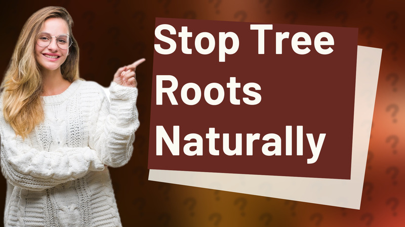 Stop Tree Roots Naturally