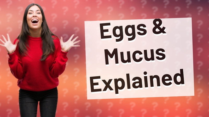 Eggs & Mucus Explained