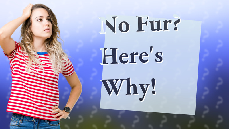 No Fur? Here's Why!