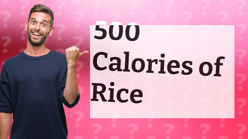 500 Calories of Rice