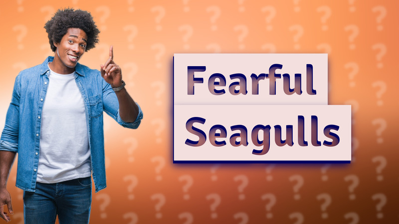 Fearful Seagulls