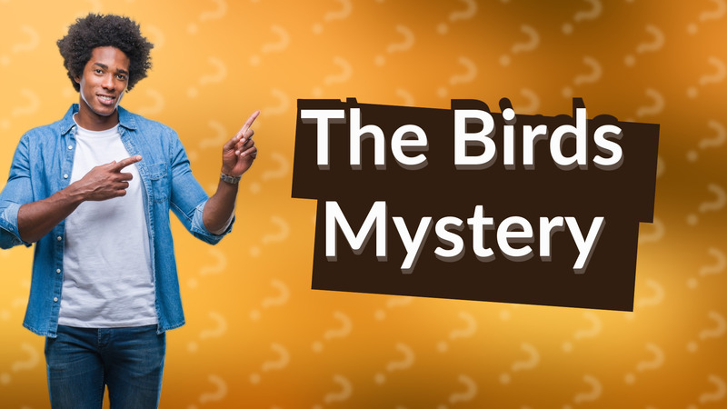The Birds Mystery