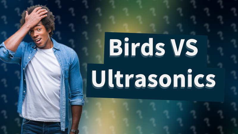 Birds VS Ultrasonics