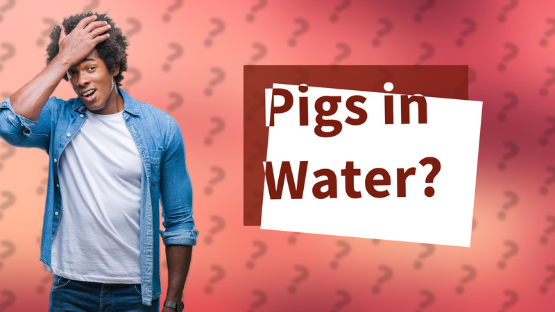 Pigs in Water?