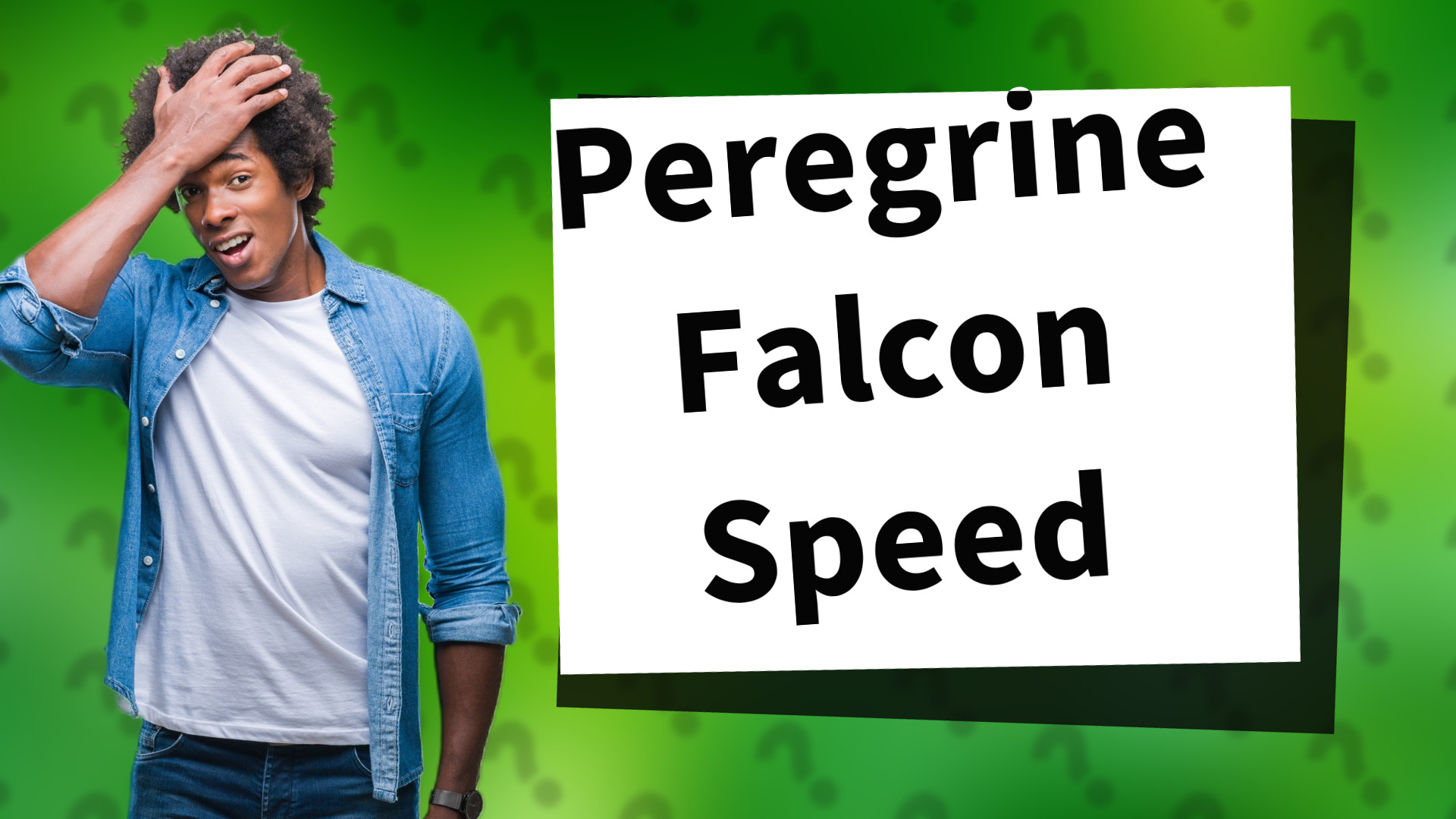 Peregrine Falcon Speed