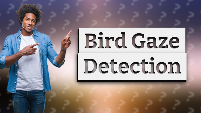 Bird Gaze Detection