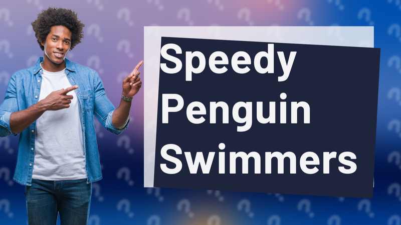 Speedy Penguin Swimmers