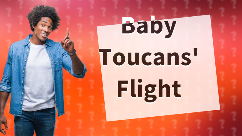 Baby Toucans' Flight
