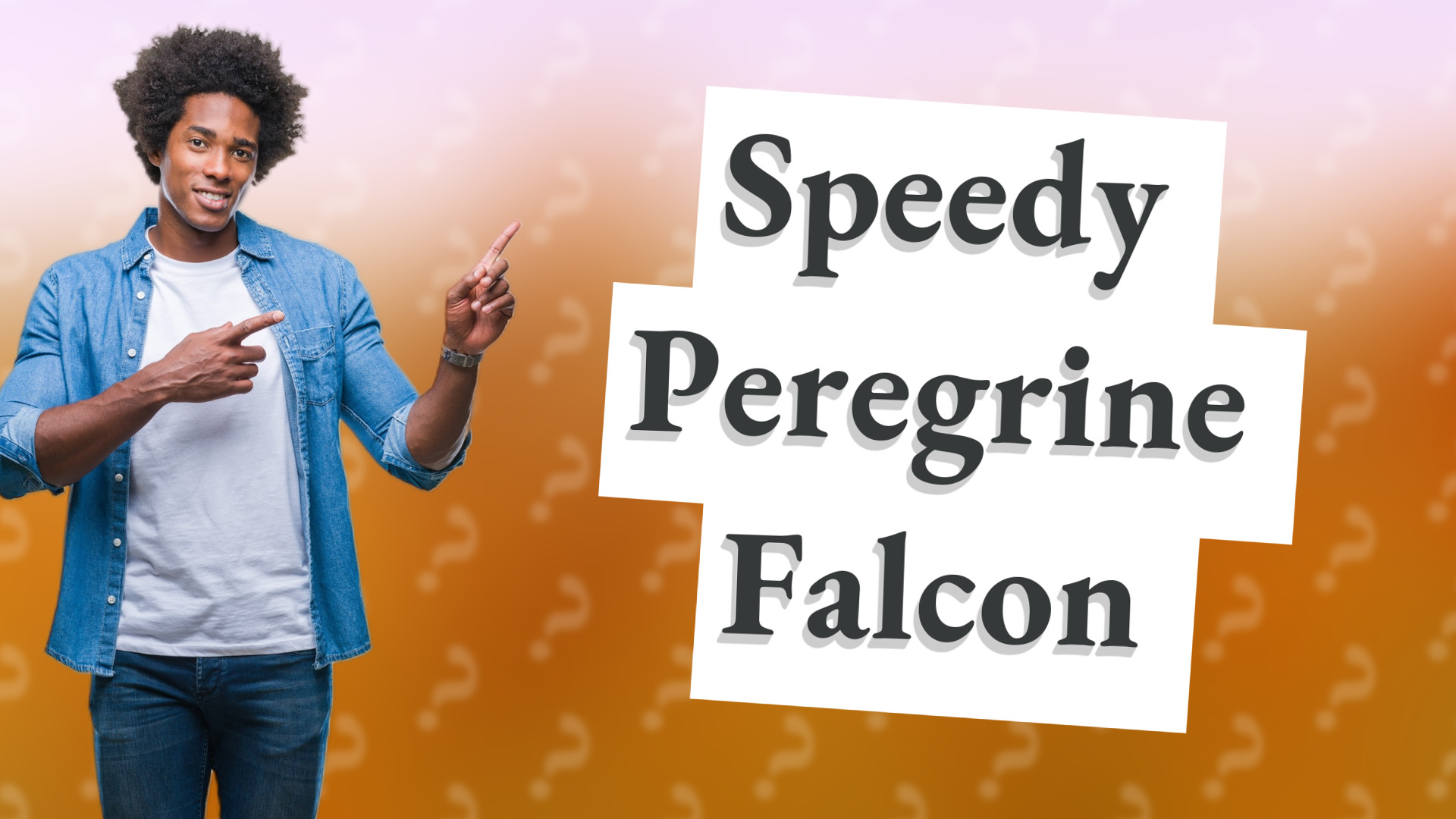 Speedy Peregrine Falcon