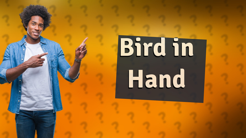 Bird in Hand