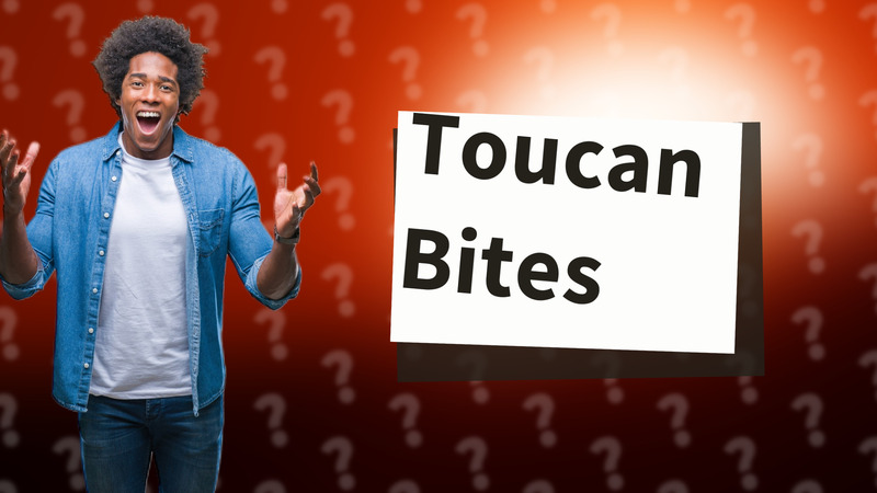 Toucan Bites
