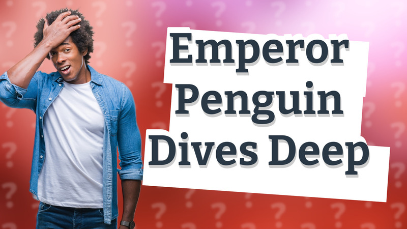 Emperor Penguin Dives Deep