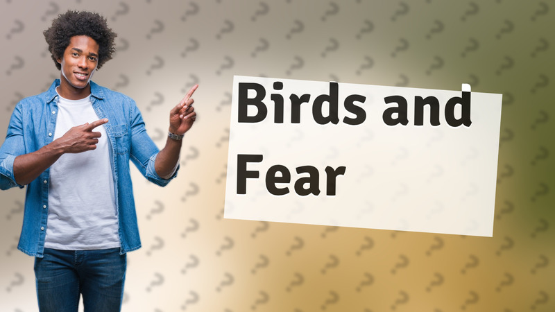 Birds and Fear