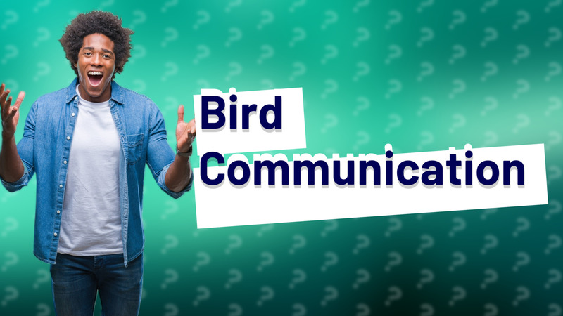 Bird Communication