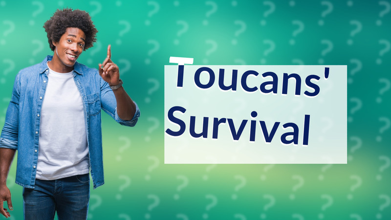 Toucans' Survival