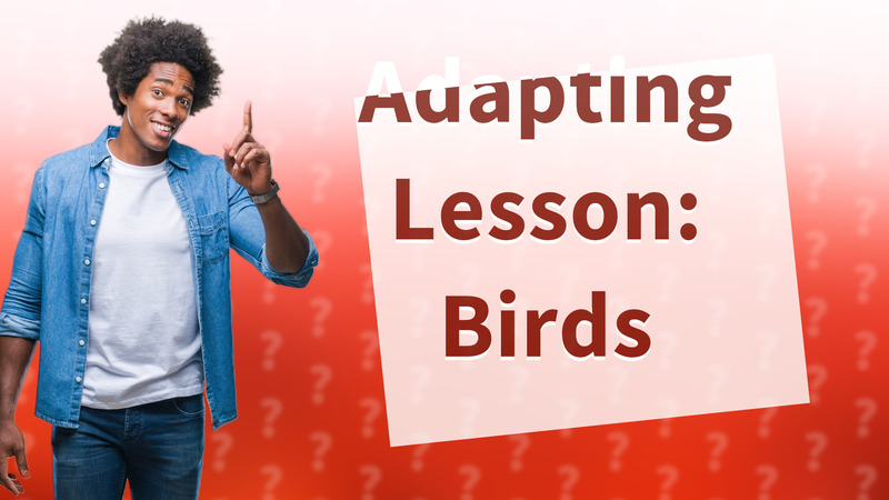 Adapting Lesson: Birds