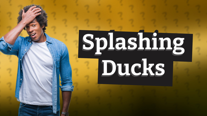 Splashing Ducks