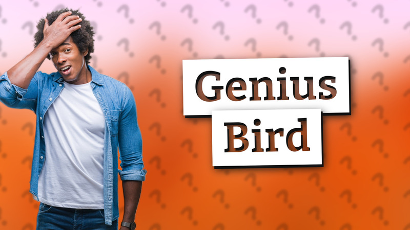 Genius Bird