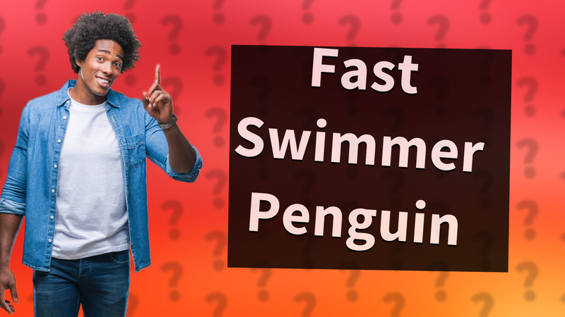 Fast Swimmer Penguin