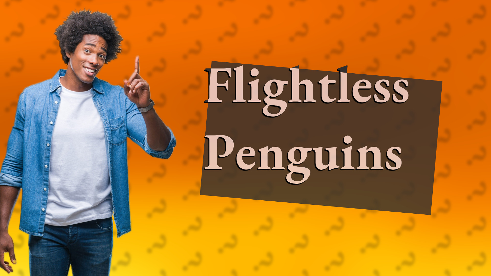 Flightless Penguins