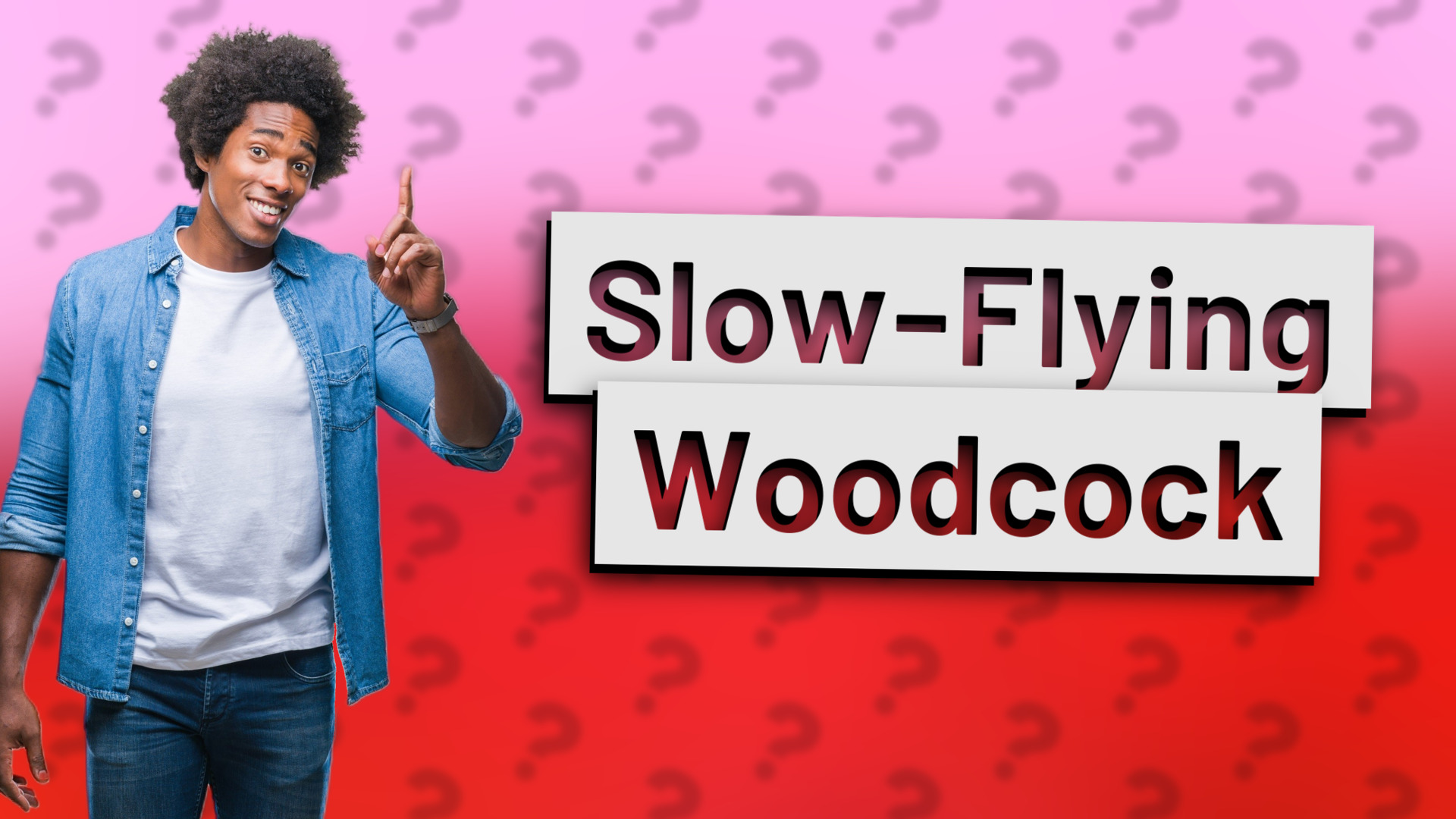 Slow-Flying Woodcock