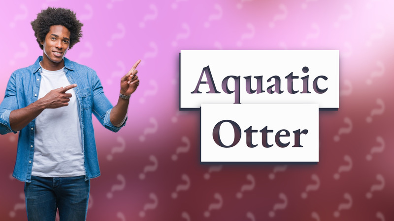 Aquatic Otter