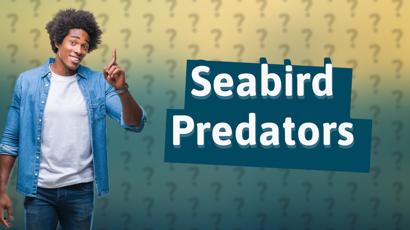 Seabird Predators