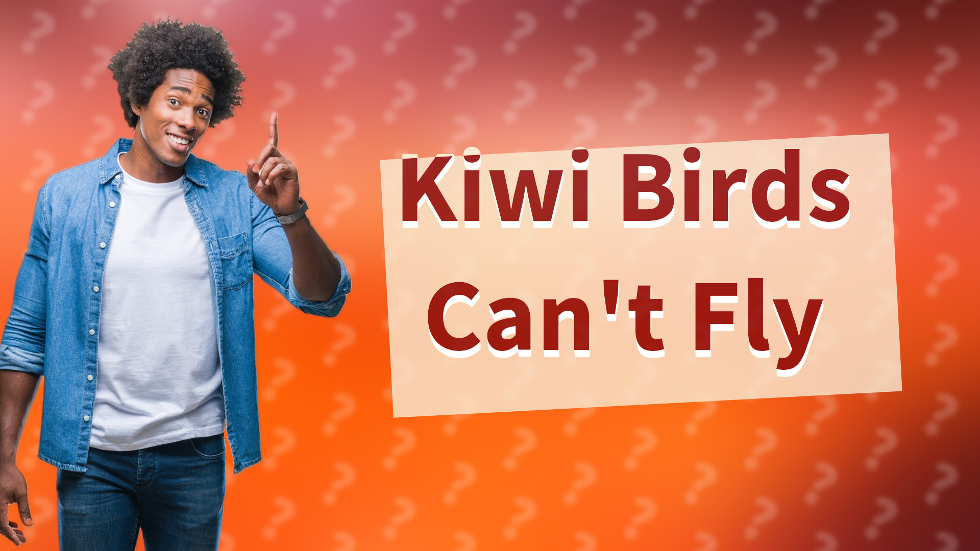 Kiwi Birds Can't Fly