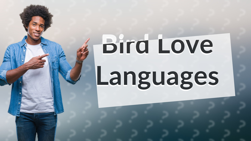 Bird Love Languages