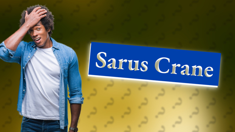 Sarus Crane