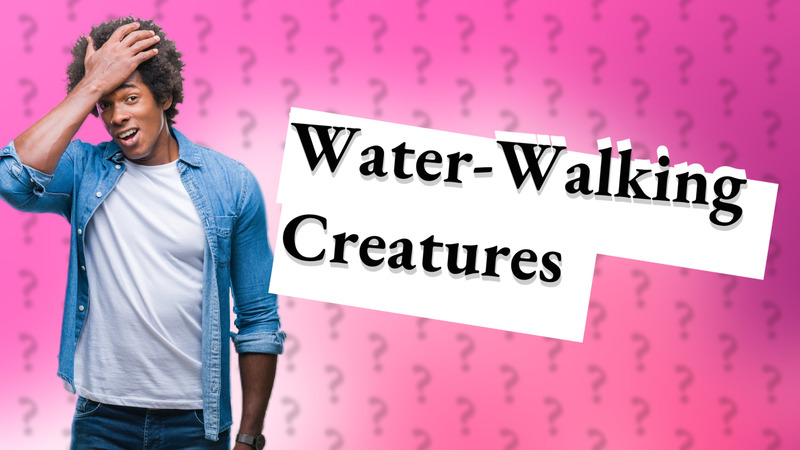 Water-Walking Creatures