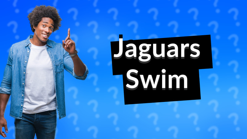 Jaguars Swim