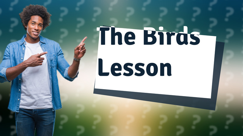 The Birds Lesson
