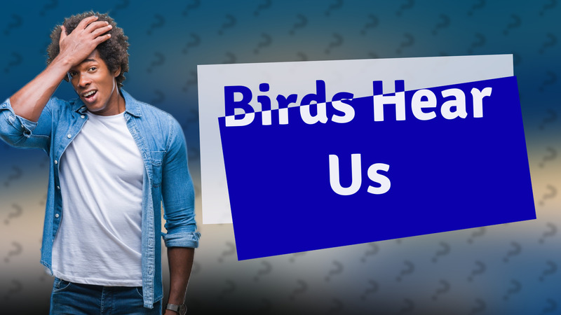 Birds Hear Us