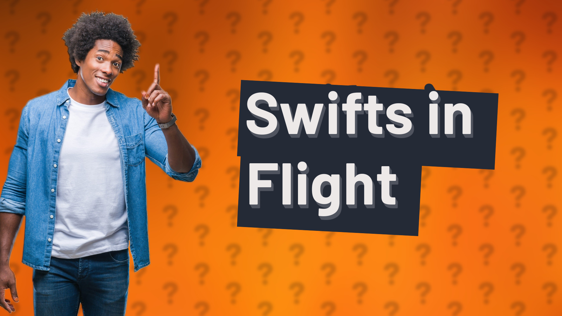 Swifts in Flight