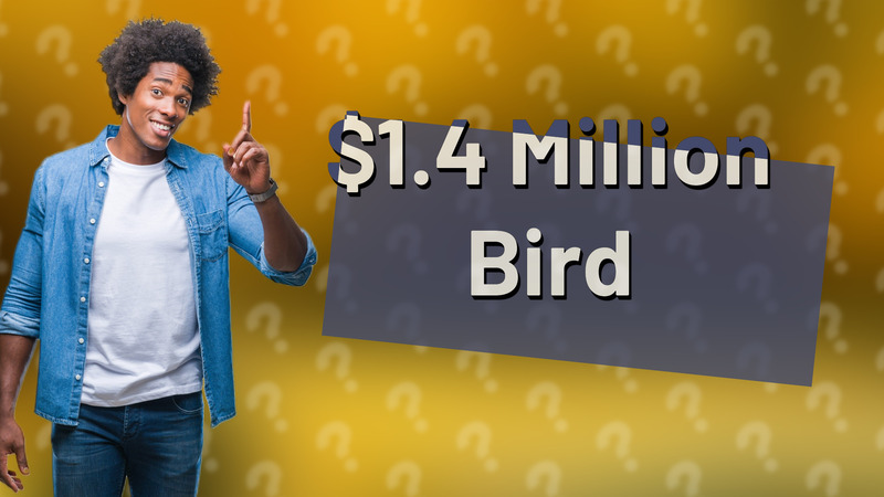 $1.4 Million Bird