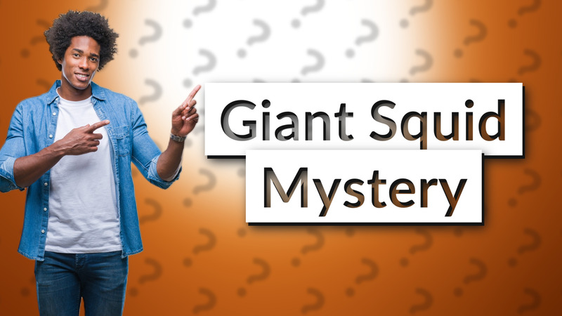 Giant Squid Mystery