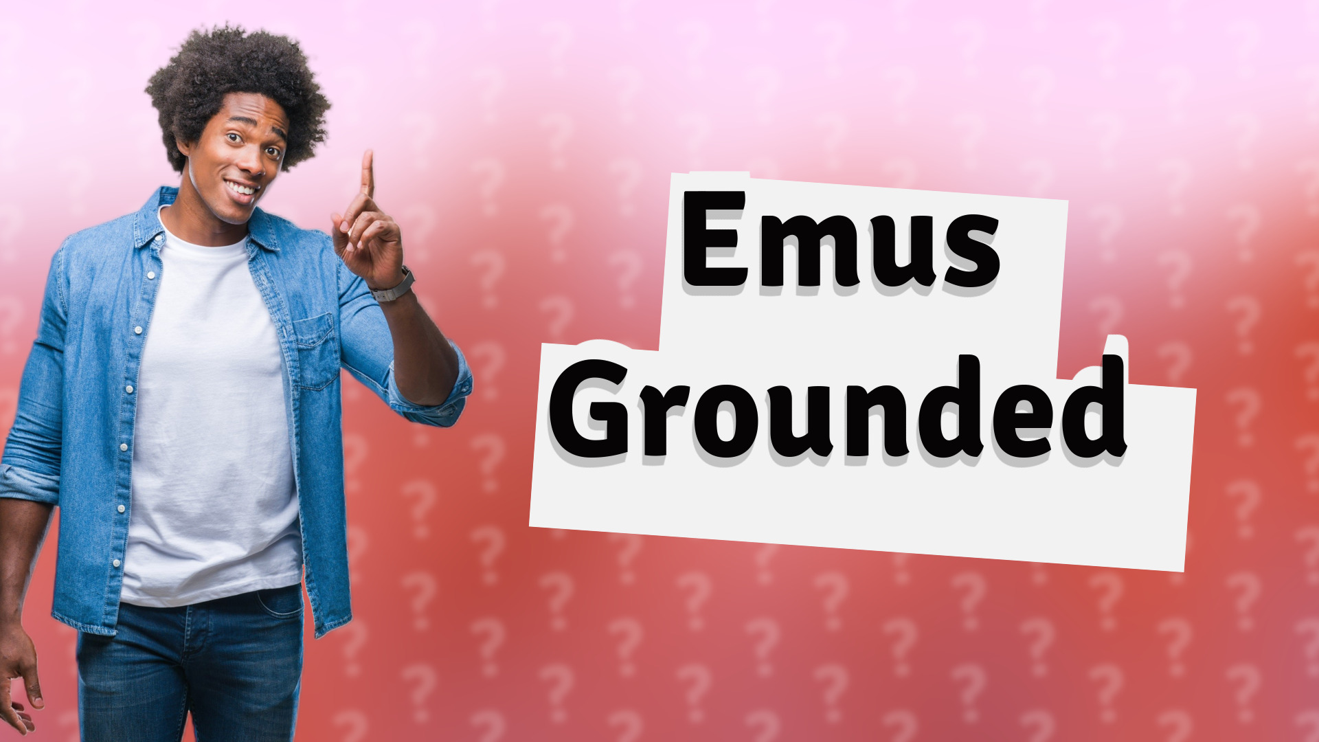 Emus Grounded