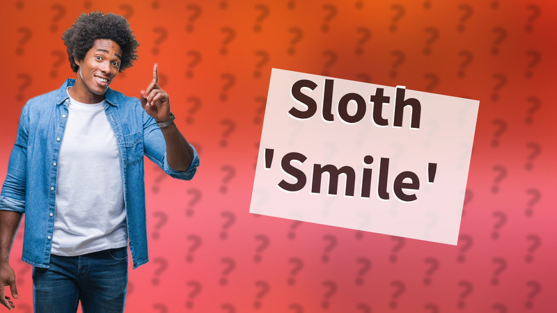 Sloth 'Smile'